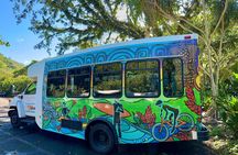 1/2 Circle Island & North Shore Fun with The Surf Bus 
