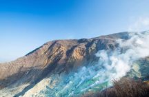 Hakone Private Customized Day Tour