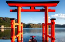 Hakone Private Customized Day Tour