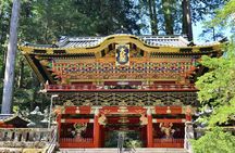 Nikko Private Customized Day Tour