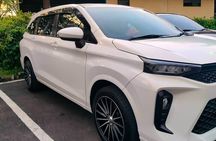 Bali Private Car Charter & Customize Tour With Driver English Speaking-Free WiFi