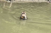 Floating & Railway Markets (Optional Mangrove Visit) Private Tour