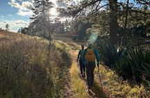 Hiking in the Sierra Norte of Oaxaca