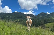 Hiking in the Sierra Norte of Oaxaca