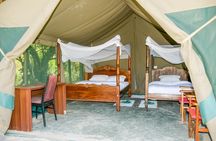 4-Day 3-Night Masai Mara and Nakuru National Park Guided Safari