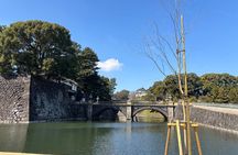 Imperial Palace and East Gardens Private Walking Tour in Tokyo