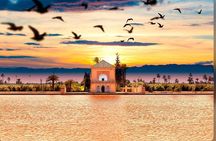  private tour of Marrakech 4 hours with multilingual driver 