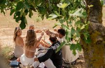 Cape Town: Private Vineyard Horseback Riding with Wine Picnic