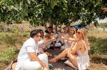 Cape Town: Private Vineyard Horseback Riding with Wine Picnic