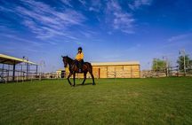 Dubai Al Marmoom Oasis Horse Riding Experience with Snack