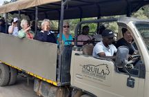 From Cape Town Aquila Game Reserve Sunset Safari Inclusive 