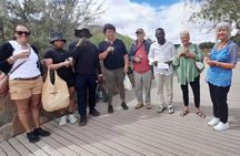 Cape Town Big Five Sunset Safari And Long March to Fredoom