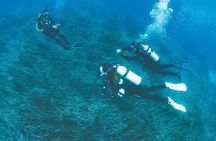 Double Dive in the Bay Park for certified divers