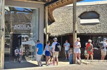 From Cape Town Aquila Game Reserve Sunset Safari Inclusive 
