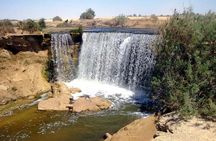 Fayoum full Day Tour from Cairo
