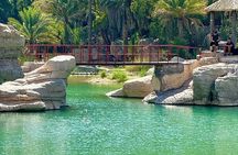 Full Day Tour to Wadi Bani Khalid and Bidiya Sands 