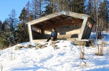 Panoramic Peaks and Oslo’s Best Fjord Views Hike