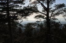 Panoramic Peaks and Oslo’s Best Fjord Views Hike