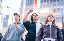1 Day Tokyo Highlights Tour with a Private Car