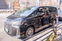 1 Day Tokyo Highlights Tour with a Private Car