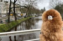 Amsterdam Red Light and Coffee Shops Private Guided Walking Tour