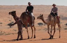 Wahiba Sands and Wadi Bani Khalid 4x4 Adventure with Lunch