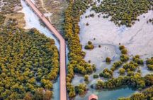 North of Qatar Tour, Zubara Fort, Mangroves, Jumail Village