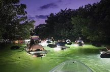 Venice Clear Kayak Glass Bottom LED Night Tour