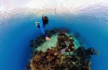 3 Stops Snorkeling Southeast and Brady's Cay