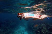 3 Stops Snorkeling Southeast and Brady's Cay