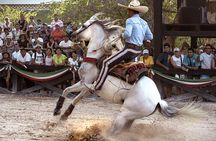 Xcaret Park Day Tour & Night Show with Transportation
