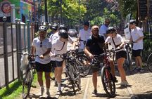 E-Bike Tour in the Southern Circuit of Buenos Aires