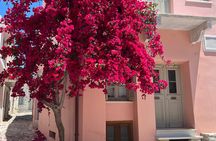 Half day Naxos Island Private Tour