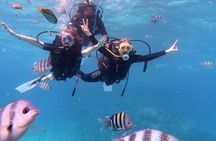 Hurghada Scuba Diving Adventure in the Red Sea – Lunch & Transfer