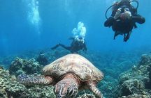 Hurghada Scuba Diving Adventure in the Red Sea – Lunch & Transfer