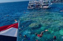 Hurghada Scuba Diving Adventure in the Red Sea – Lunch & Transfer
