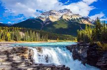 Athabasca Falls/Abraham,Sunwapta Falls,Icefield & Peyto Lake Tour