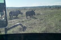 Amboseli day trip with pick up