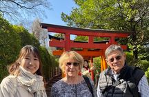 4 Hours Private Yanaka Town Tour