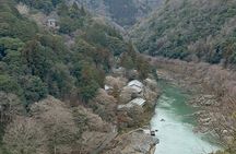 Zen Run in Arashiyama
