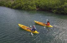 Adventurous Clear Kayak And Snorkeling Tour At Mangel Halto