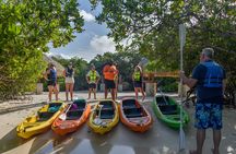 Adventurous Clear Kayak And Snorkeling Tour At Mangel Halto