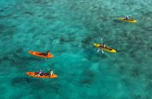 Adventurous Clear Kayak And Snorkeling Tour At Mangel Halto