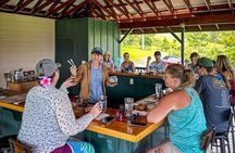 Craft Chocolate Tasting and Farm Experience on the Big Island