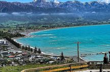 Kaikoura Whale Watching Day Trip from Christchurch