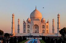 Private day tour of Taj Mahal and Agra fort by super-fast train - ALL INCLUSIVE 