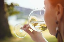 Experience Prosecco Hills with Wine and Food from Venice