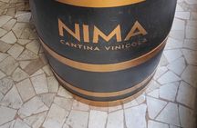 Tasting of three wines of our production