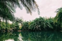Kikuletwa Springs Private Swimming Activity Adventure