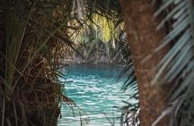Kikuletwa Springs Private Swimming Activity Adventure